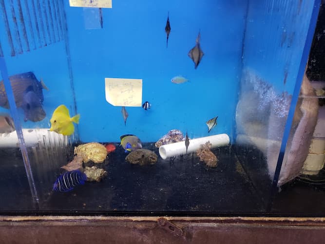 Dog trainer Bell Bird Farm South Gate