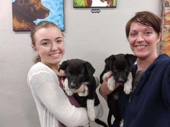 Dog trainer Bellingham Pet Supply & Aquatics Bellingham