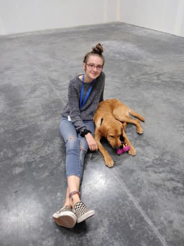 Dog trainer Blissful Pawz Dog Training Vancouver