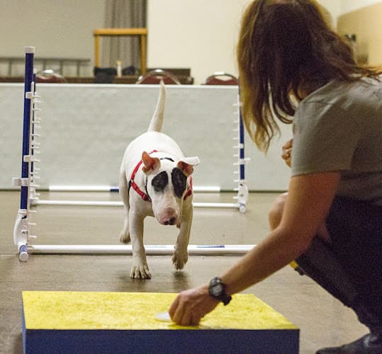 Dog trainer BravoPup Oakland