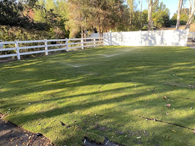 Dog trainer Brent Cady Dog Training Carlsbad