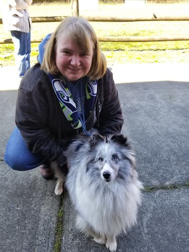 Dog trainer Brigand's Hideout -experience herding Vancouver