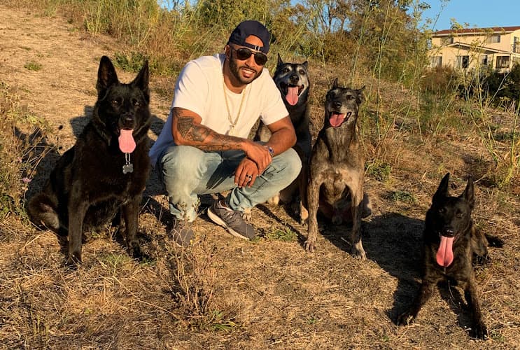 Dog trainer Cali K9 Los Angeles Dog Training Los Angeles