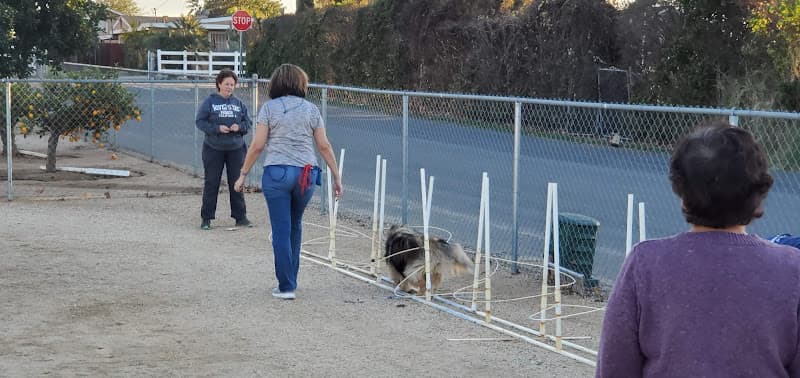 Dog trainer CampWannaQ Riverside