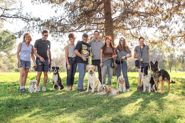 Dog trainer Canine Continued Education Pomona