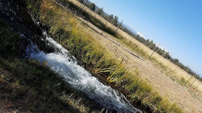Dog trainer Canine Country Bend