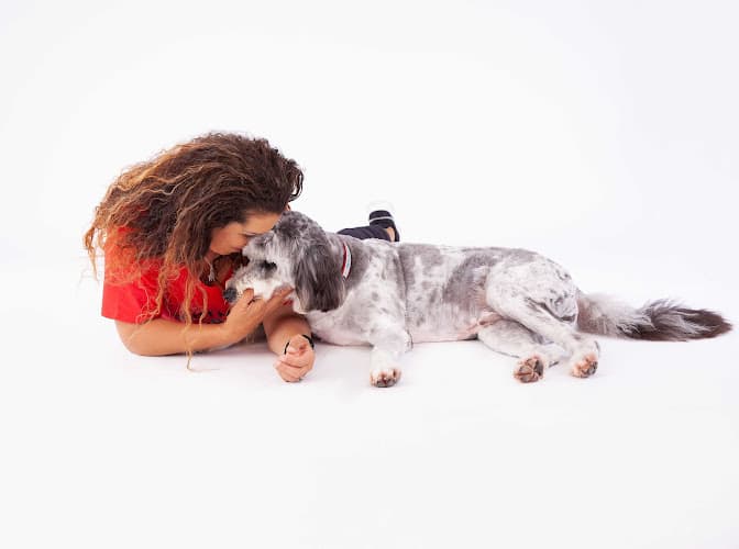 Dog trainer Canine Learning Academy Long Beach