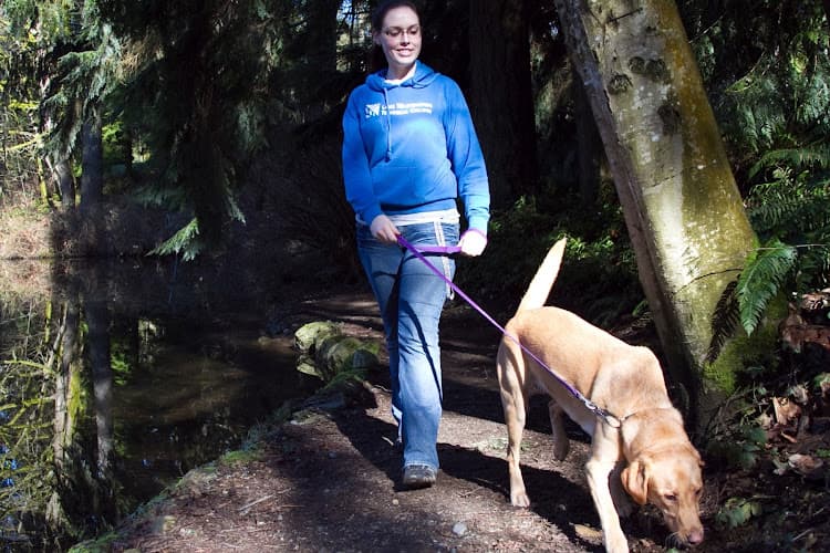 Dog trainer Cascade Kennels, Inc. Bellevue