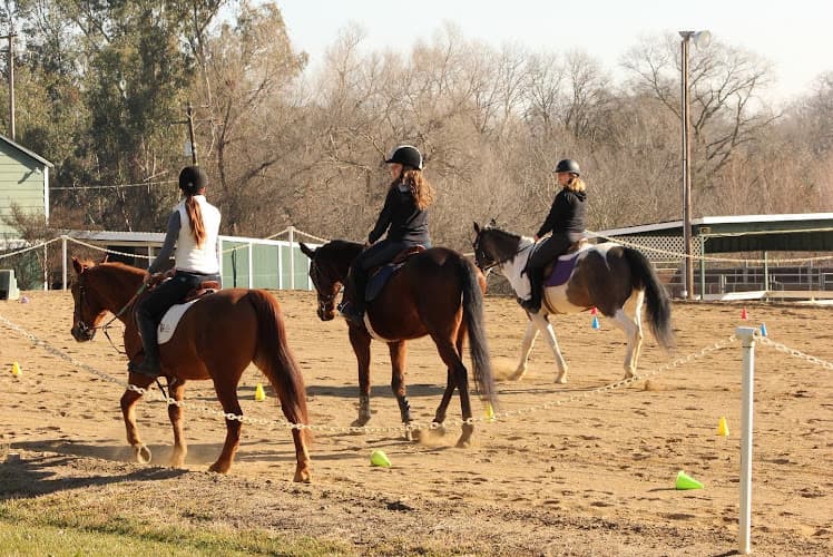 Dog trainer CBC Therapeutic Horseback Riding Academy LLC Elk Grove