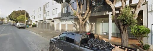 Dog trainer Celtic Dog Walker Daly City