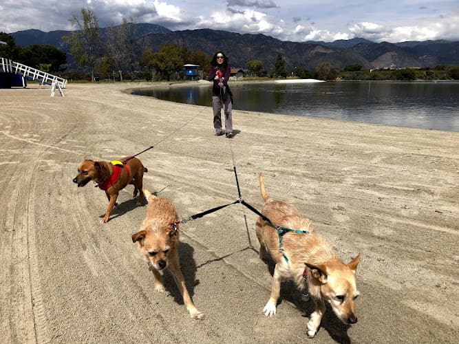 Dog trainer Centinela Feed Inc Pasadena