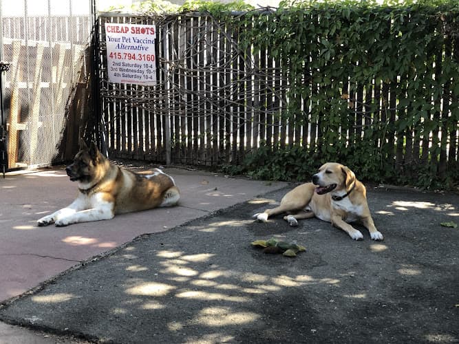 Dog trainer Cheap Shots, Second to None Pet Services - Veterinarian & Animal Hospital San Leandro