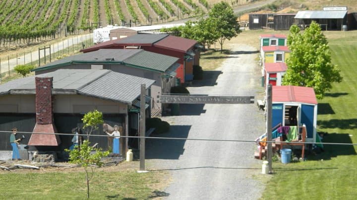 Dog trainer Cloverleaf Ranch Santa Rosa