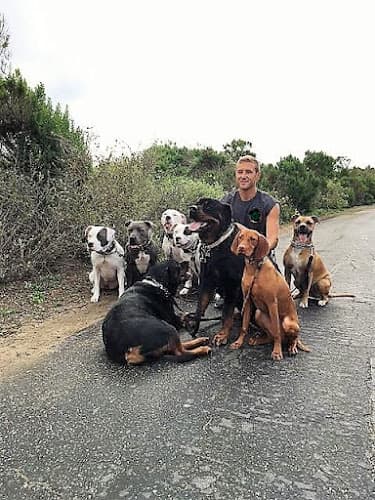 Dog trainer coach canine oc Mission Viejo