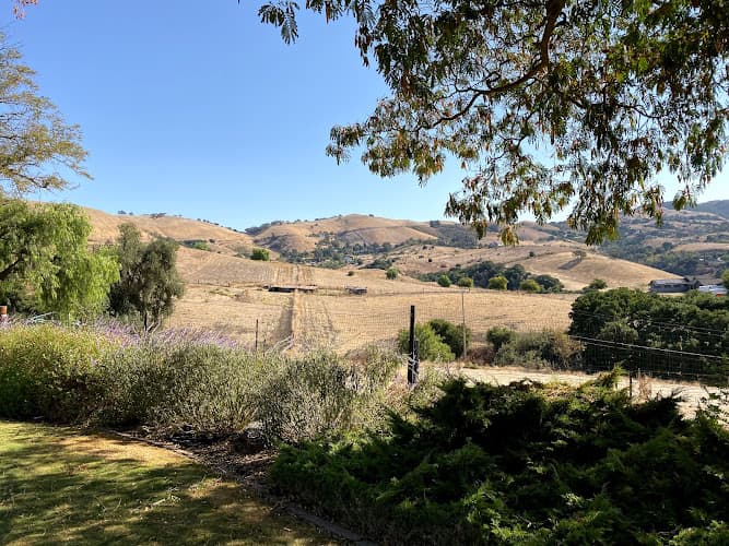 Dog trainer Cooperhaus Kennels San Jose