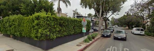 Dog trainer C.O.R.E. Dog Training and Excursions Los Angeles