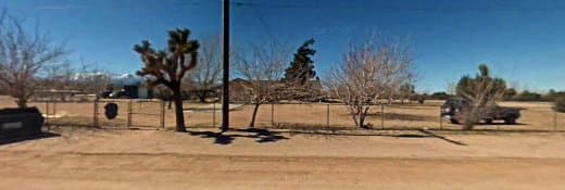 Dog trainer Daisy Dog Academy Victorville