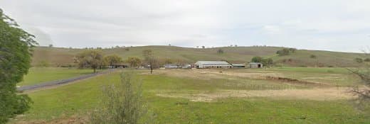 Dog trainer Danlos Dog Training Antioch