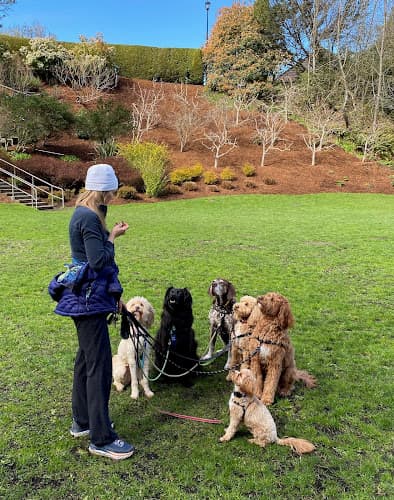 Dog trainer Debbie and the Dogs Seattle