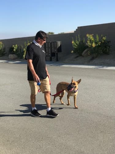 Dog trainer Desert Living Dog Training Indio
