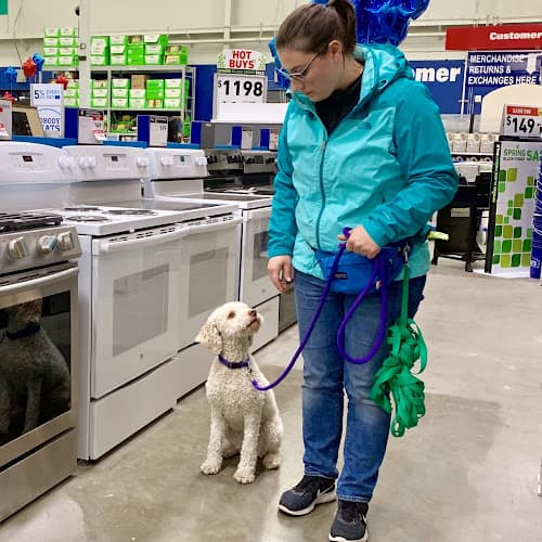 Dog trainer Diana Simonsen Dog Training Seattle