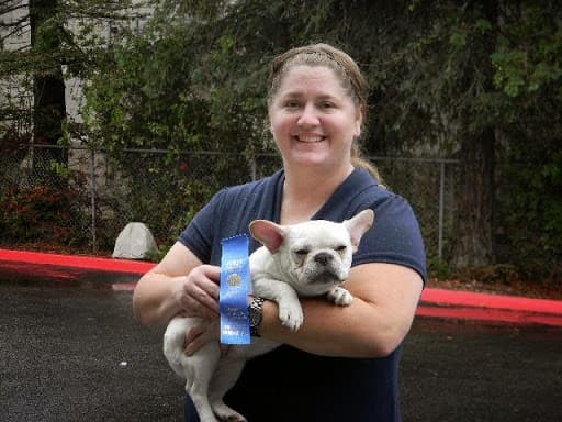 Dog trainer DistinctiveFrenchBulldogs Murrieta