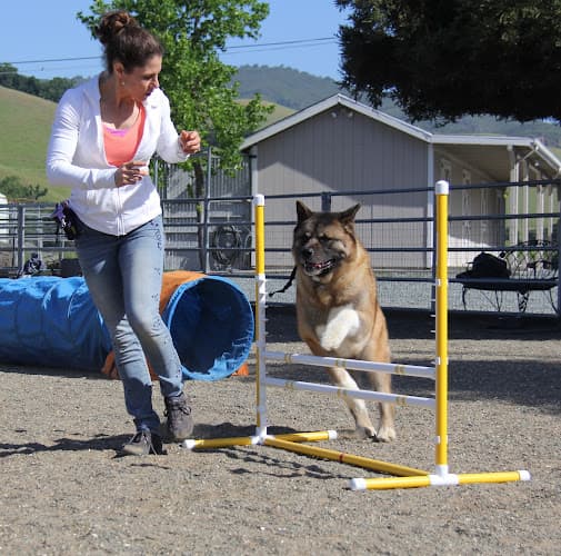 Dog trainer Dog Dynamics, Inc Antioch