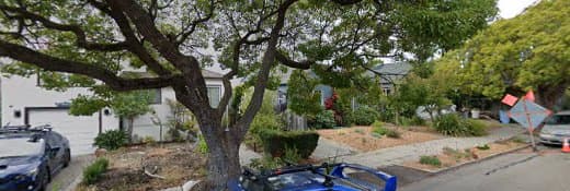 Dog trainer Dog Gone Good Oakland