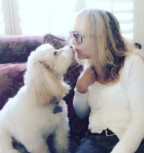 Dog trainer Dogs Etc. Anaheim