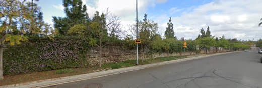 Dog trainer Dogs with Dave San Diego