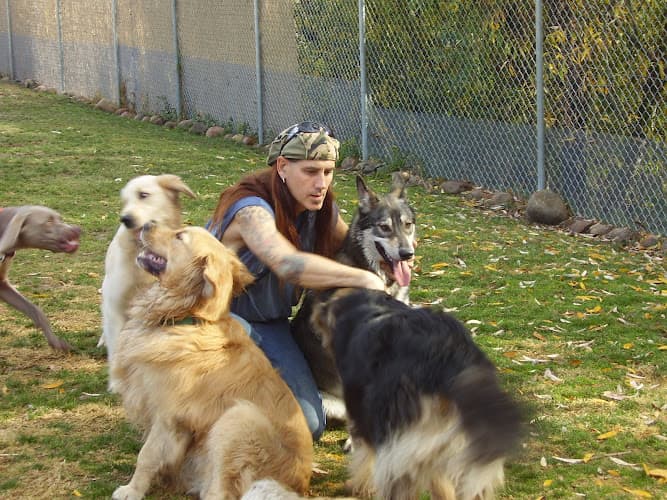 Dog trainer Eggers Dog Training Pasadena