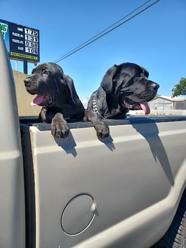 Dog trainer El Granero Pet Shop Compton