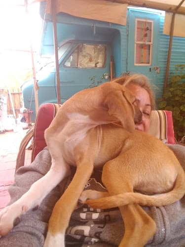 Dog trainer Elias Pet Shop South Gate