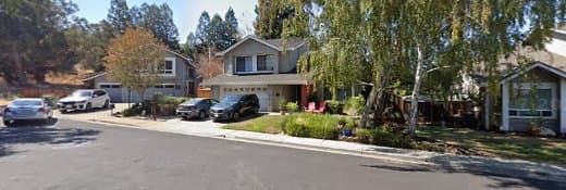 Dog trainer Executive Canine Services Antioch