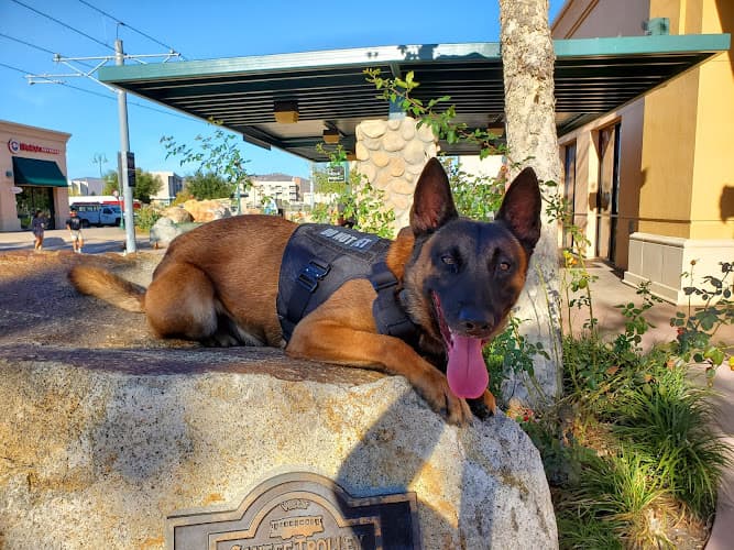 Dog trainer EZ PUPS El Cajon