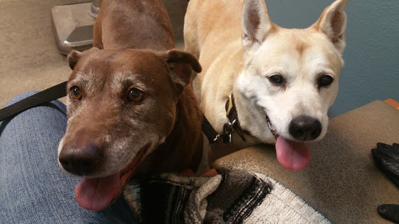 Dog trainer Fairhaven Veterinary Hospital Bellingham