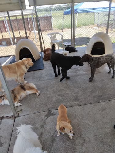 Dog trainer Four Paws Pet Ranch Santa Rosa