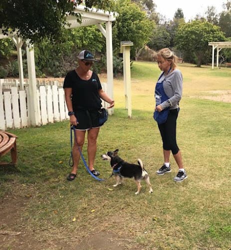 Dog trainer Get Pawsitive Dog Training Vista