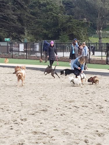 Dog trainer Golden Gate Park Dog Training Area San Francisco
