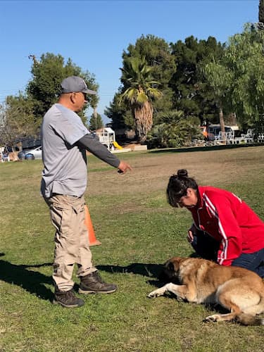 Dog trainer Golden State K-9 Training Academy Corona