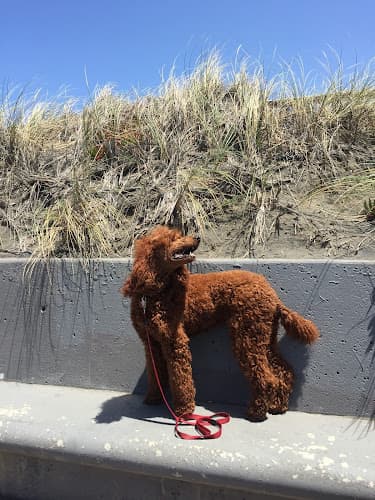 Dog trainer Good Dog Happy Dog LLC Richmond