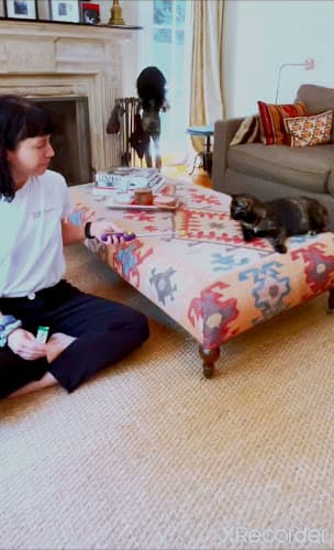 Dog trainer Hannah's Cat Training Los Angeles