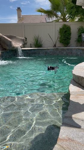 Dog trainer Honor K9 Dog Training Murrieta