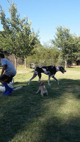 Dog trainer Hughes Park Off Leash Dog Park Roseville