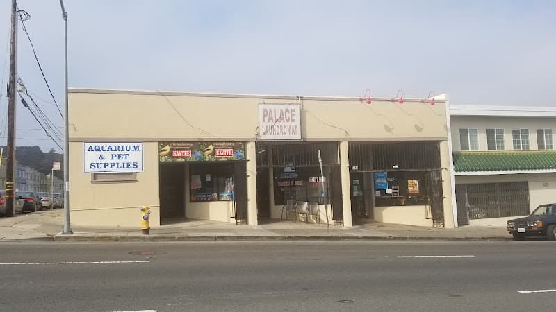 Dog trainer Hung Ming Aquarium Daly City