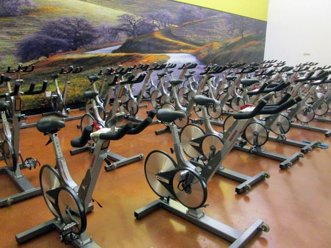 Dog trainer In-Shape Health Clubs Bakersfield