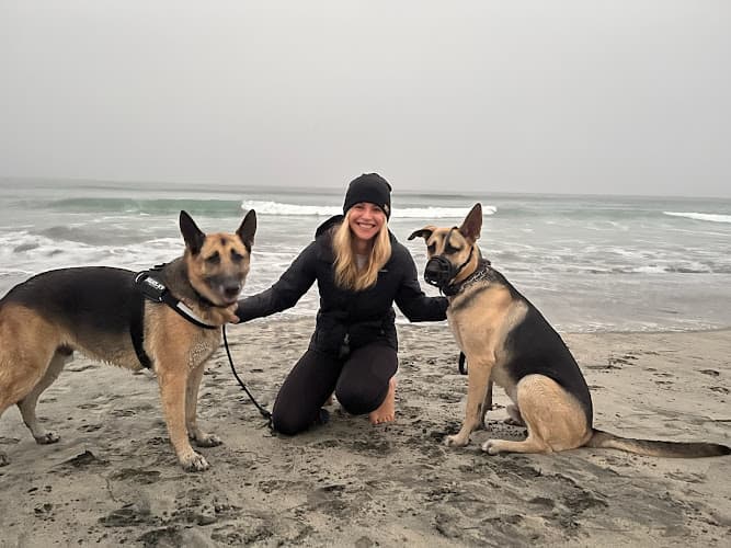 Dog trainer IQ K9 Training Vista
