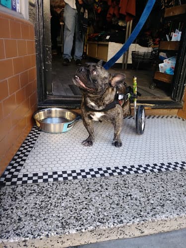 Dog trainer Jeffrey's Natural Pet Foods North Beach San Francisco