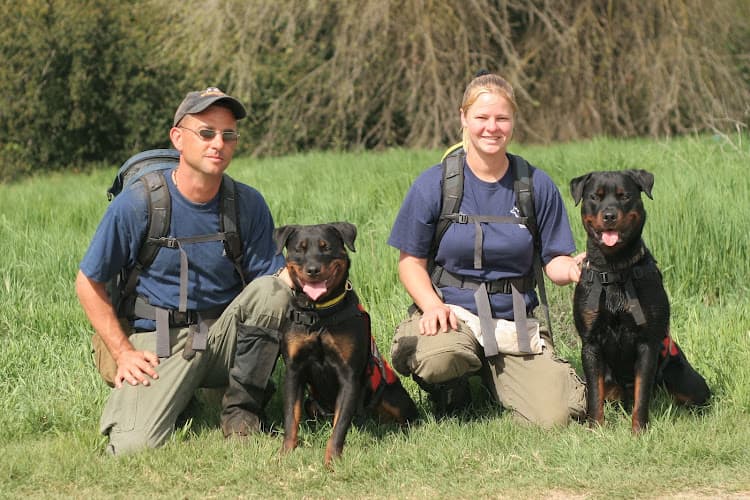 Dog trainer K9 Development Stockton