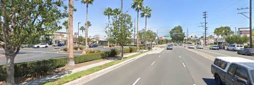 Dog trainer K9 Kismet Dog Rescue Long Beach